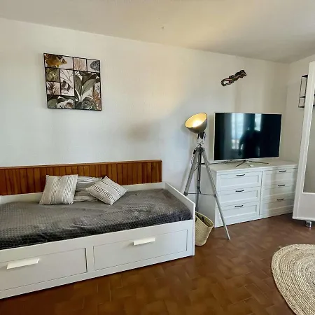 Apartment A Saint-cyprien Avec Terrasse, Parking Et Ascenseur - 5 Couchages - Fr-1-225d-191 Saint-Cyprien (Pyrenees-Orientales)